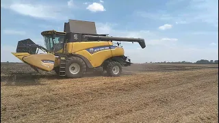 Уборка зерновых 2021 😎