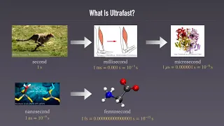 36C3 -  An ultrashort history of ultrafast imaging