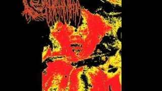 Embryonic Cryptopathia- Split w/ Blue Holocaust