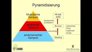 Vortrag Herr Weinmann