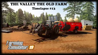 Building open pig area, mowing & tedding grass | The Valley The Old Farm | FS19 Timelapse #13