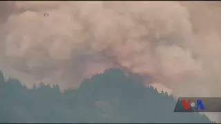 У Каліфорнії рекордна висока температура, що призвела до поширення лісових пожеж. Відео