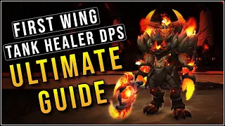 The Ultimate Vault of the Incarnates Guide! LFR/Normal - The Primal Bulwark - The First Wing