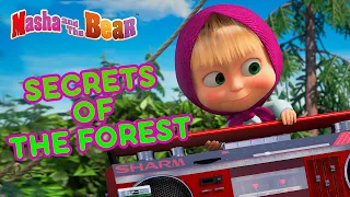 Masha and the Bear 🌲🧚‍♀️ SECRETS OF THE FOREST 🧚‍♀️🌲 Best magical cartoon episodes 🎬