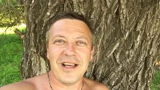 жизнь вне орхидей 40. Жара 🌞🔥😓, Орхидейный КОТ 🐈🐱, ВОЛГА!