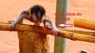 Amazing! Little Baby Cinn Learn Climb The Wall In Young Age, So Smart & Lovely