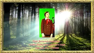 Поёт Виталий Николаев.
