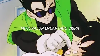 HOMENAJE A GOHAN & VIDEL  (MI CORAZÓN ENCANTADO)