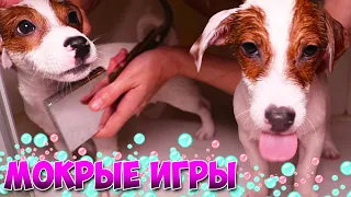 Мокрые игры 🛀 ЛОКИ БОБО принимает душ 🐾 Говорящая собака  🐾 23 серия