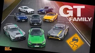 Wet Conditions: AMG GT R on the Race Track (German)