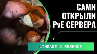 [Lineage 2 Essence] В какое же дерьмо мы превратили игру. Открыли PvE сервера раньше Инновы.