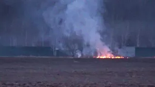 Пожар возле леса у д. Свистягино ( мусоросжигательный завод)