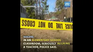 Six-Year-Old Boy Held After Shooting Teacher In US State Of Virginia | Developing