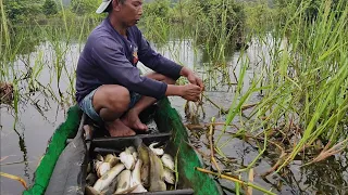 INILAH YANG TERJADI JIKA DI BIARKAN SATU MALAM ‼️