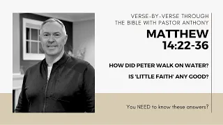 Matthew 14:22-36 "How did Peter walk on the water? Is 'Little Faith' any good?"