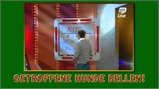 9LIVE - GETROFFENE HUNDE - CITV.NL