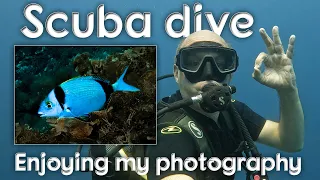 Scuba Diving off the Amalfi Coast  - Punta Campanella Diving Centre