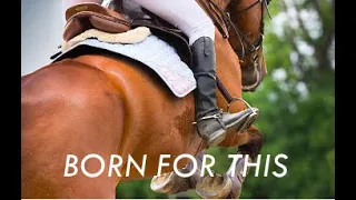 Born for this//Equestrian