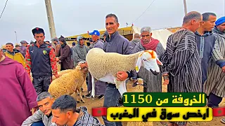 سوق الاسبوعية الخميس 🇲🇦 زيما اقليم الشماعية 30/5/2024حولية تبدا من 1150بحث عن تمن الخروف اسبانيا 🇪🇸