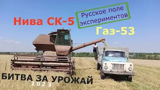 Комбайн Нива СК-5 /УБОРКА ОЗИМОЙ ПШЕНИЦЫ