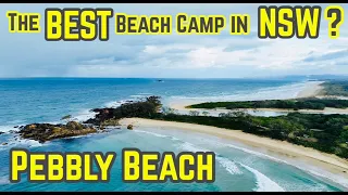 Pebbly Beach - Best Beach Camping in NSW?