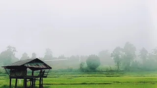 Beautiful Thailand Rural Life | Raining Weather in Village Simple Life | Thailand village life