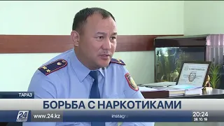 Свыше 700 наркопреступлений выявлено в Жамбылской области