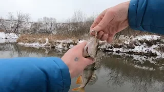 _- ЯНВАРСКИЙ МИКРОДЖИГ. Вот оно ГЛУХОЗИМЬЕ -_