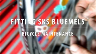Installing SKS Bluemels Mudguards - My Favourite Commuter Mudguards