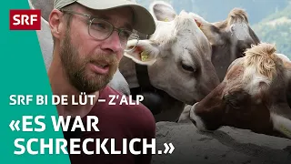 Tödlicher Kuhsturz bei Familie Weirich Porath | Z'Alp – SRF bi de Lüt | 2024 – 3/4 | SRF