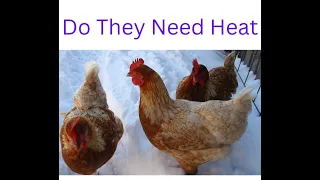 Do Chickens need Heaters in freezing weather?