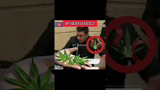 Senador uribista @jotapehernandez en rechazo a la legalización del Cannabis en Colombia. 🇨🇴