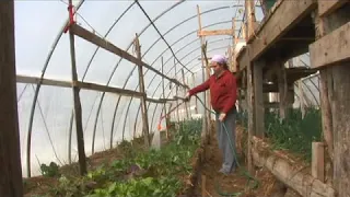 Greenhouse & Hoop House Irrigation