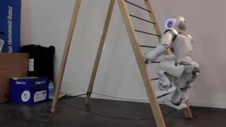 Nao and the ladder