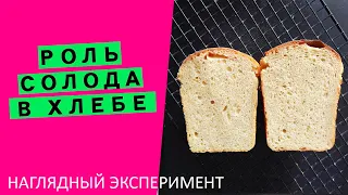 Роль солода в хлебе: НАГЛЯДНЫЙ ЭКСПЕРИМЕНТ! ⚗🧪