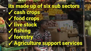 The agricultural sector in Uganda ( topic 3 UG ECON @NAISHAACADEMY )