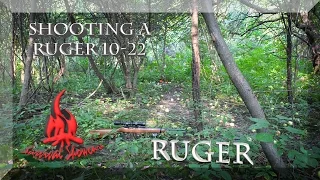 The Ruger 1022