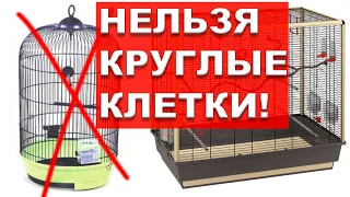 КРУГЛАЯ КЛЕТКА ДЛЯ ПОПУГАЯ ЗЛО  ПОЧЕМУ НЕЛЬЗЯ КРУГЛЫЕ КЛЕТКИ И БОЛЕЗНИ ПОПУГАЕВ