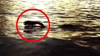 The Lake Monster That Almost Killed Me