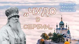 ,,Молись Во Имя Сына Моего!,, УДИВИТЕЛЬНЫЕ ПРАВОСЛАВНЫЕ ИСТОРИИ -ЧУДО В СЕРБИИ- ВЕНИАМИН ФЕДЧЕНКОВ