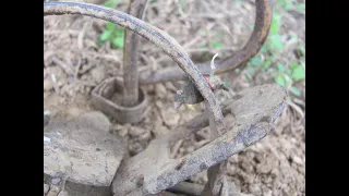 Pest Control Groundhog Trapping (and hunting). And How to Cage Trap a Groundhog.