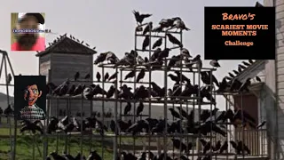 Bravo's SCARIEST MOVIE MOMENTS Challenge THE BIRDS (1963)