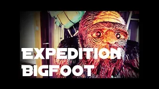 EXPEDITION BIGFOOT | Sasquatch Museum | Blue Ridge, Georgia