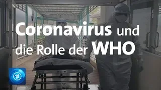 Coronavirus - Herausforderung für die Weltgesundheitsorganisation (WHO)