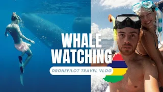 #13 whale watching in Mauritius (sperm whales)