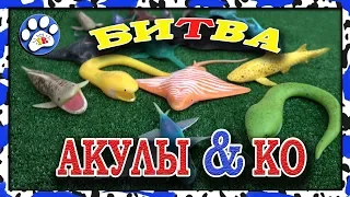 БИТВА АКУЛЫ и КО ДЕАГОСТИНИ НОВАЯ ВЕРСИЯ 2018 🦈🐋🦈