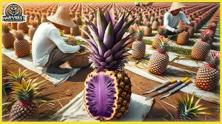 The Most Modern Agriculture Machines That Are At Another Level,Harvest Pineapples|Harvest Innovators