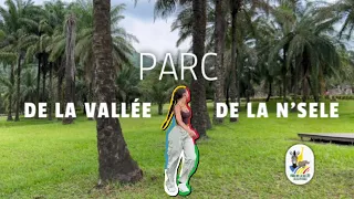 PARC DE LA VALEE DE LA N'SELE (CONGO) // vlog