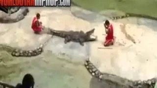 Crocodile Bites Man's Head Trying To Do Tricks At A Show!