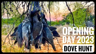 South Texas Dove Opener / 2023 / Private Land Hunt